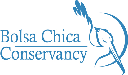 Bolsa-Chica-Conservancy-Logo_Small